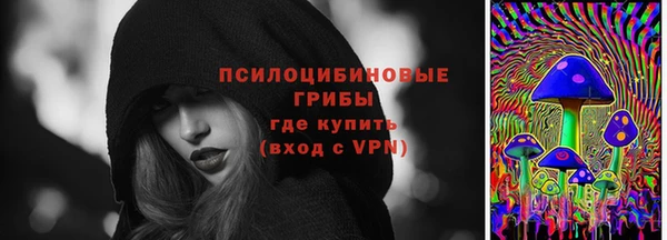 экстази Богданович
