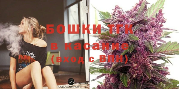 дмт Богородицк
