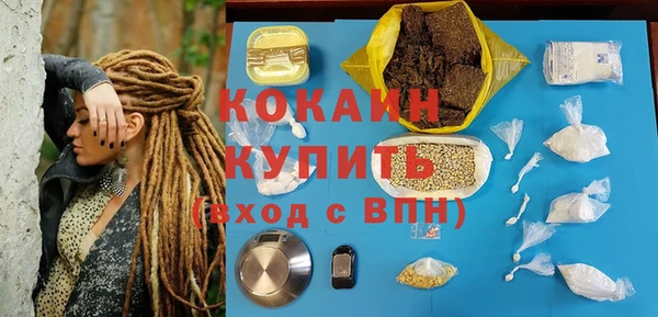 дмт Богородицк