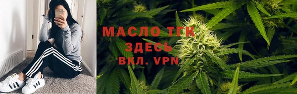 дмт Богородицк