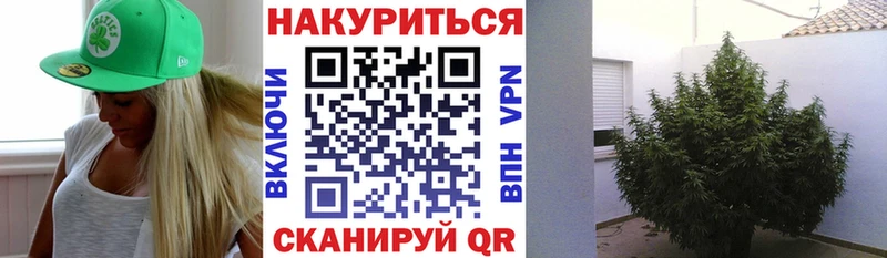 Канабис индика Березники